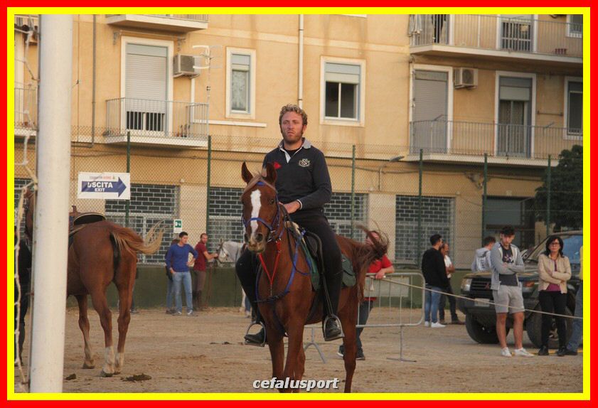 161106 equestre 081_tn.jpg